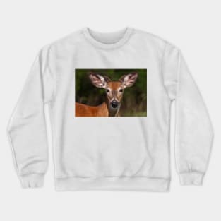 Young spring buck - White-tailed deer Crewneck Sweatshirt